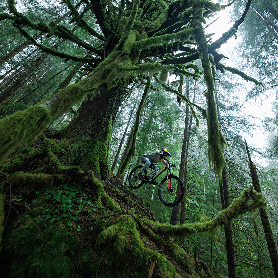 Vali Höll beim Biken im Wald