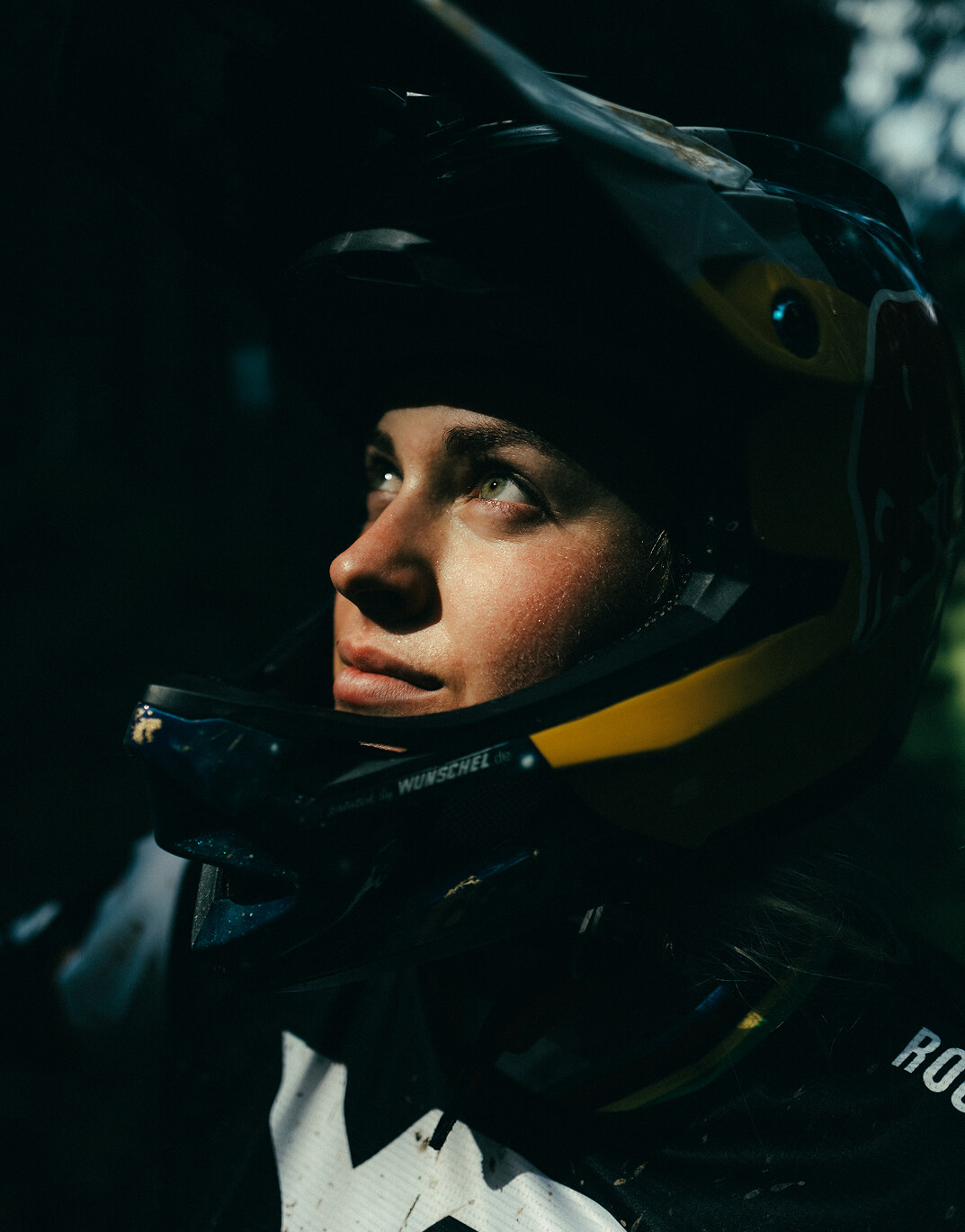 Vali Höll Portrait